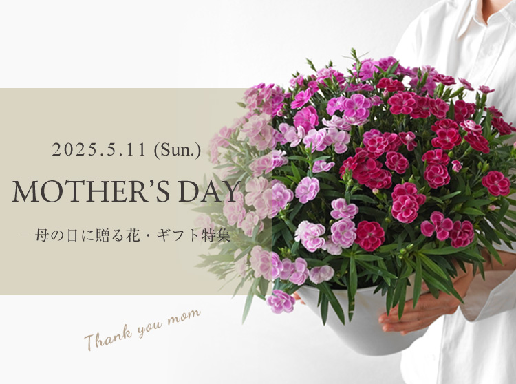 母の日に贈る花・ギフト