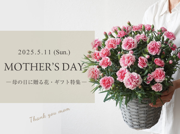母の日に贈る花・ギフト