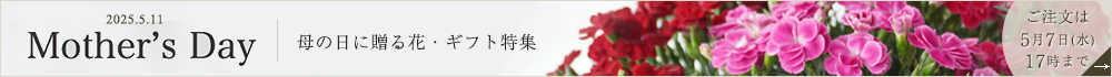 母の日に贈る花・ギフト特集