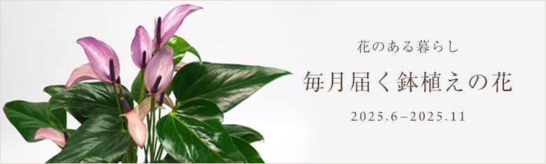 花のある暮らし