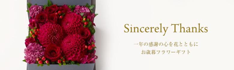 紫のシクラメンの鉢植え