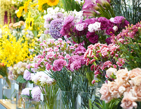 青山花茂本店店内に並ぶ花々