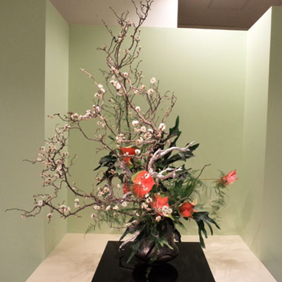 いけばな - 青山花茂本店 ・ フラワーギフト通販