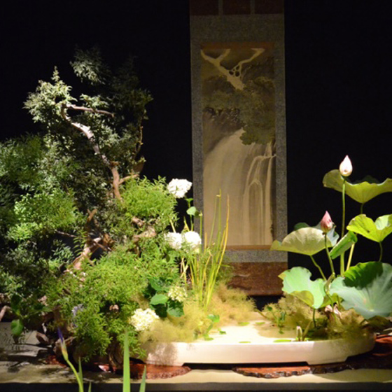 獅子頭楓、紫陽花、スモークツリー、雪柳、蓮、睡蓮など