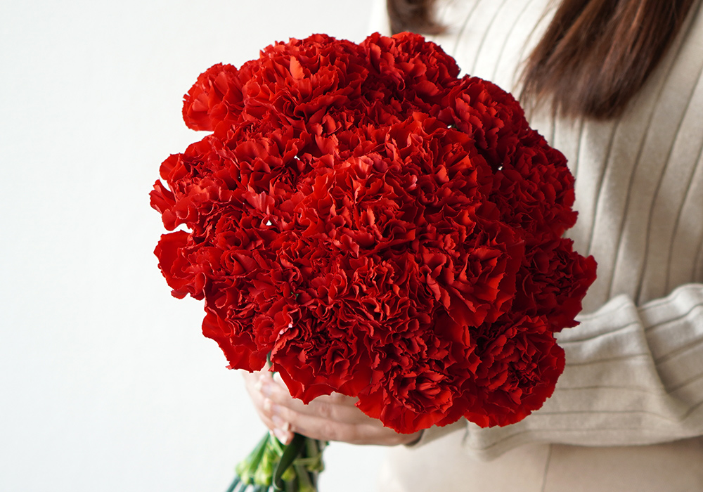 赤いカーネーションの花束