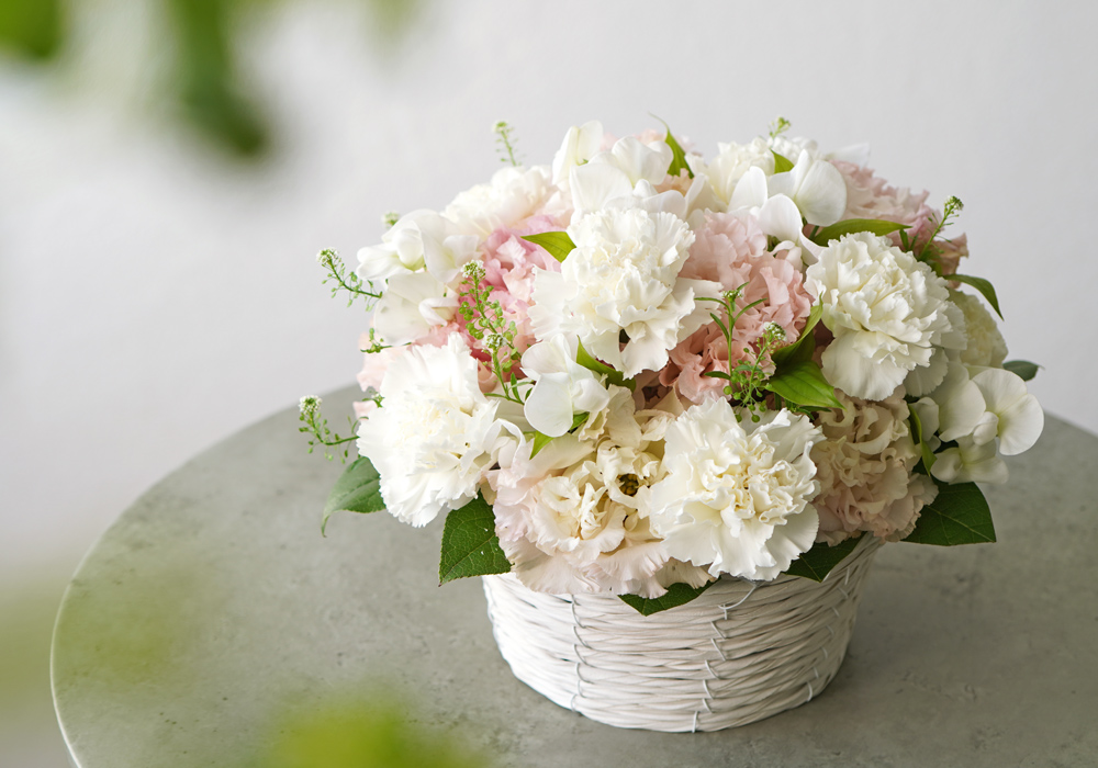 赤いカーネーションの花束