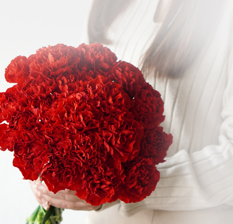 赤いカーネーションの花束