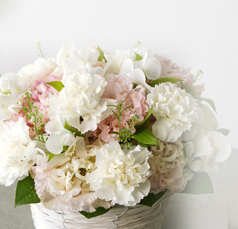 赤いカーネーションの花束