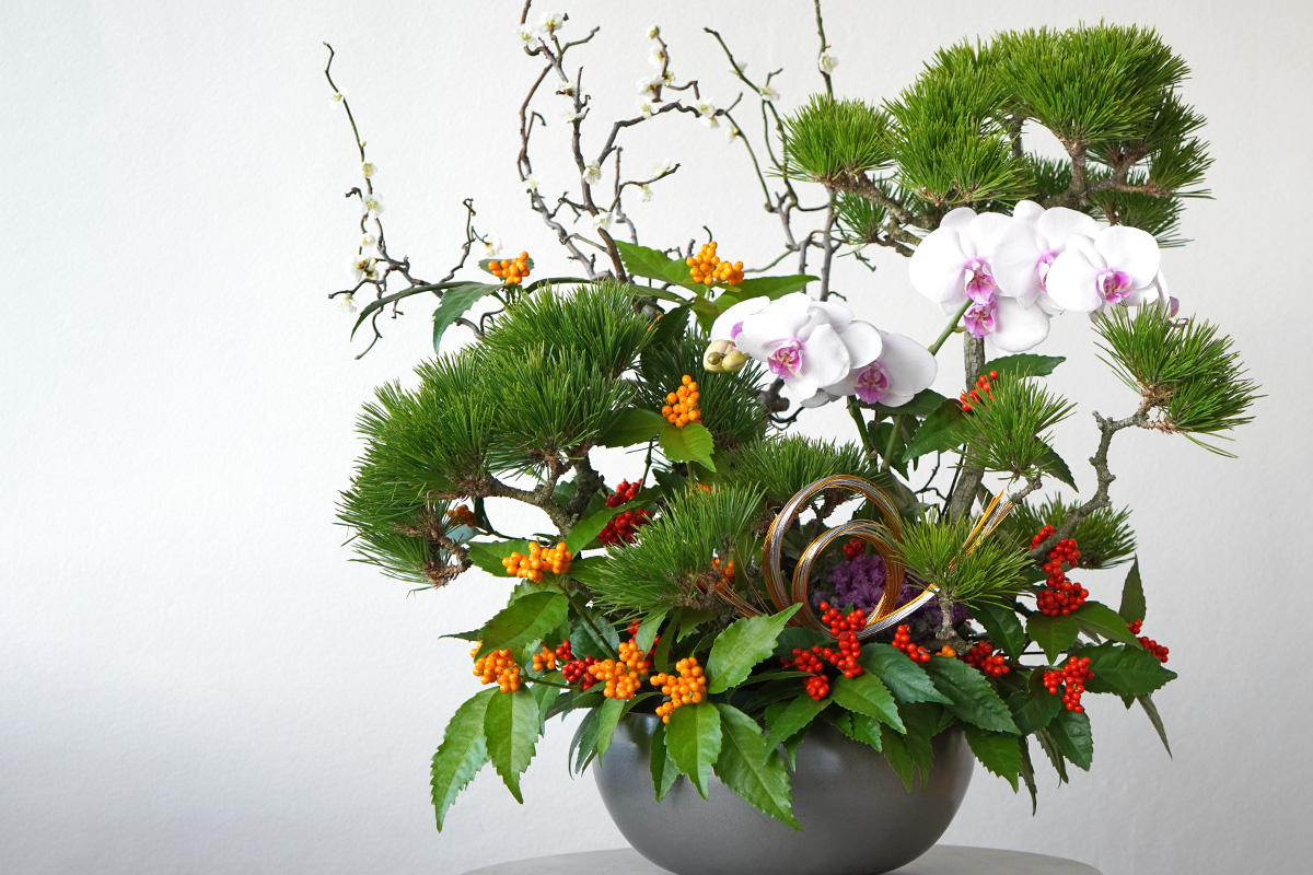 松や胡蝶蘭、千両のお正月アレンジメント