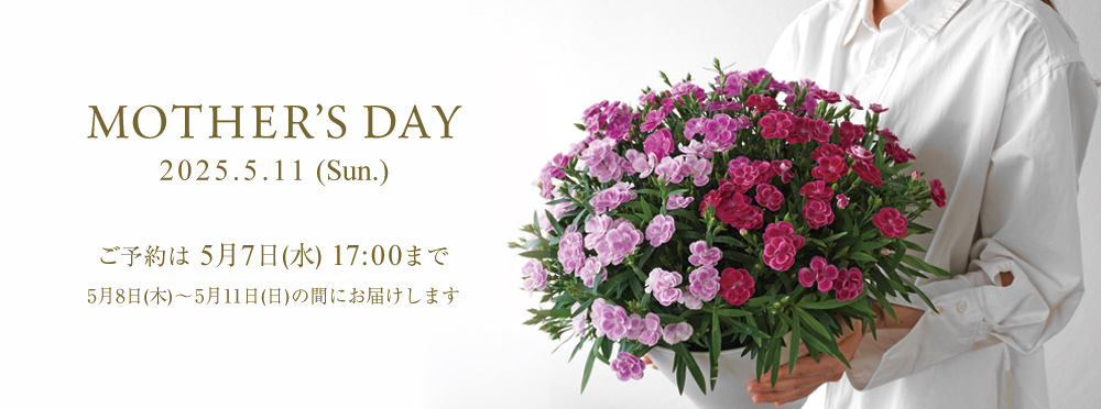 母の日に贈る花・ギフト