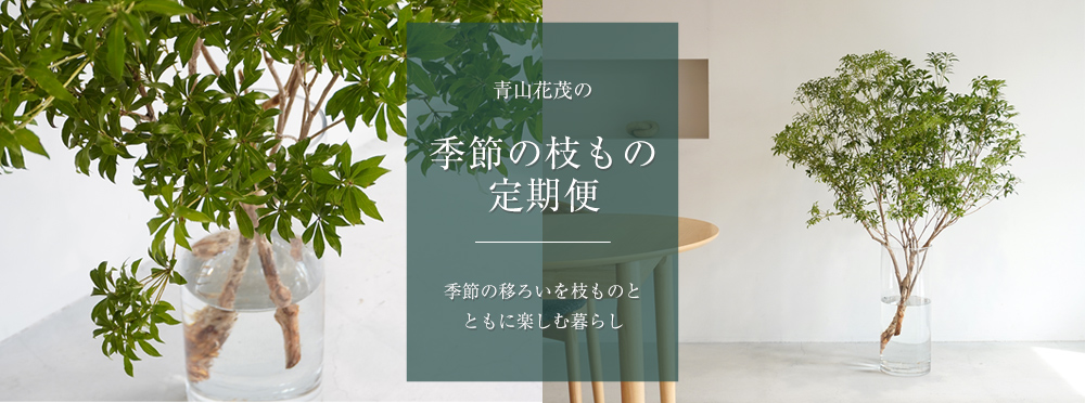 成人の日