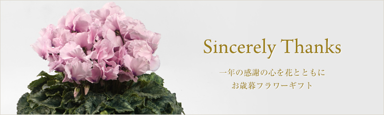 お歳暮・冬の贈り物の花のギフト特集