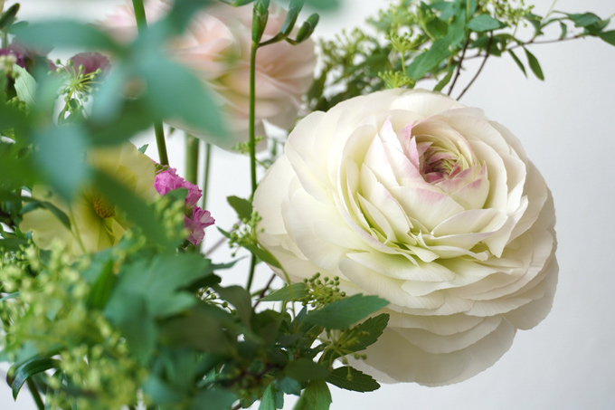 ���i���L�����X�̉ԕr����