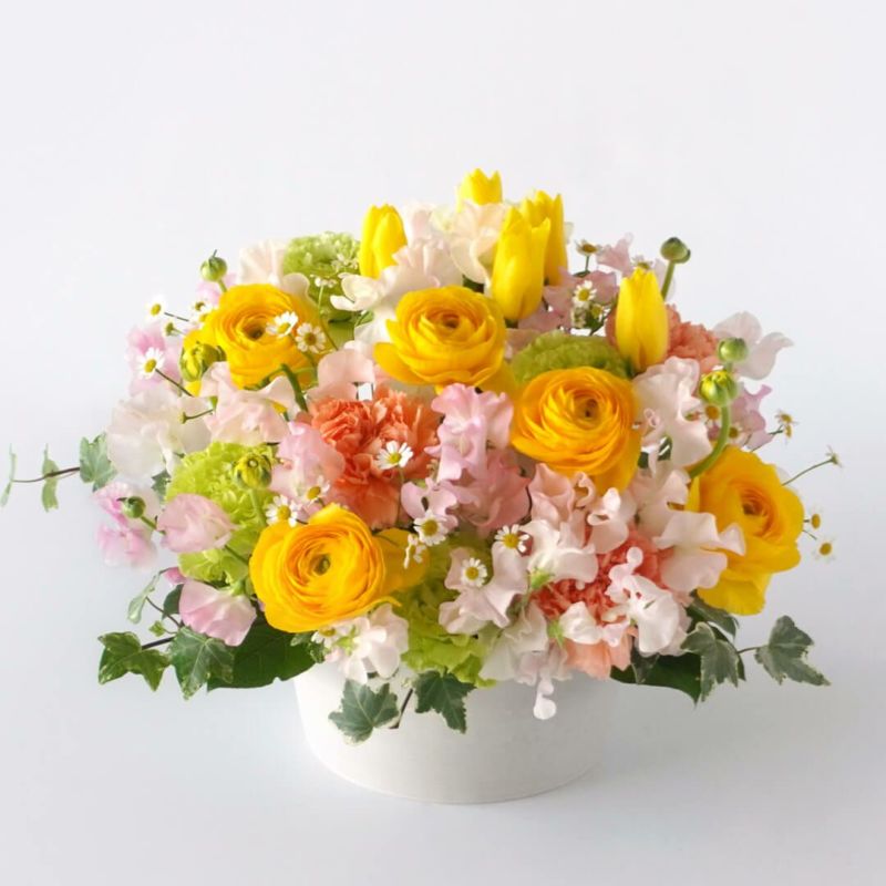 ���F�̃��i���L�����X��`���[���b�v�A�W���X�C�[�g�s�[�̃A�����W�����g