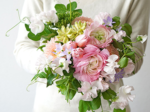 ���i���L�����X��X�C�[�g�s�[�̉ԑ�