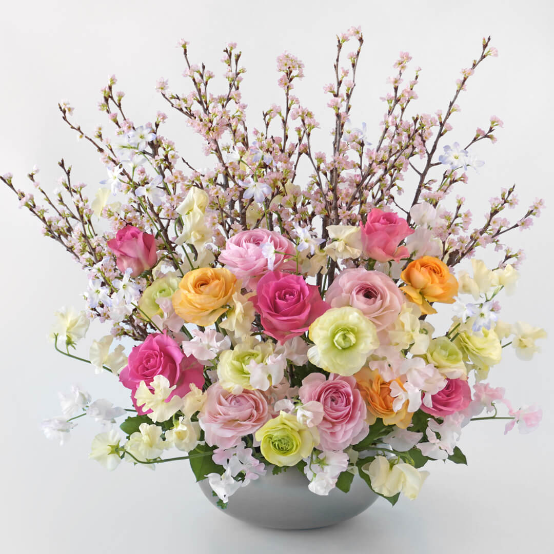 �~���U�ƃ��i���L�����X�̃A�����W�����g