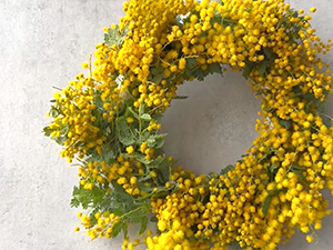 �~���U�̃��[�X