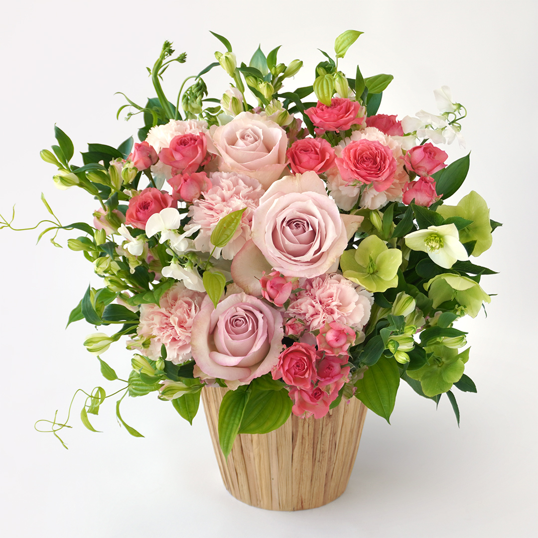 �y��̓��z�W���s���N�̑�փo���ƃJ�[�l�[�V�����̃A�����W�����g