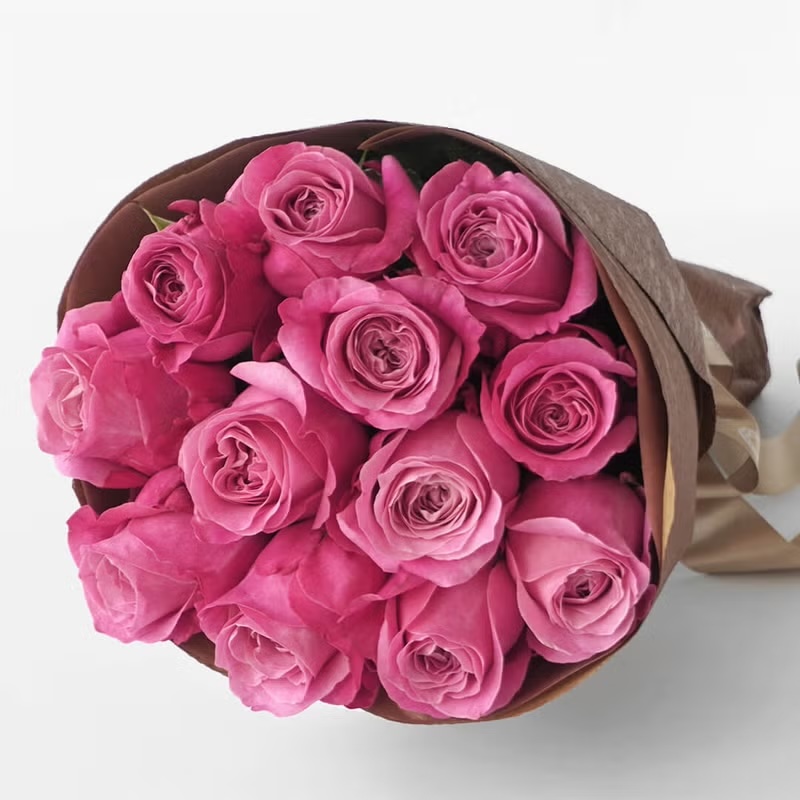 �N�₩�ȃs���N�o���̉ԑ�