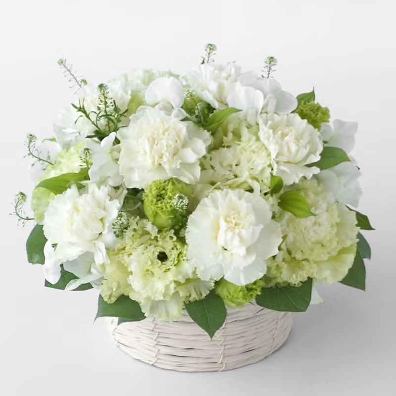 �����J�[�l�[�V�����A�W���O���[���̃g���R�L�L���E�̂������A�����W�����g