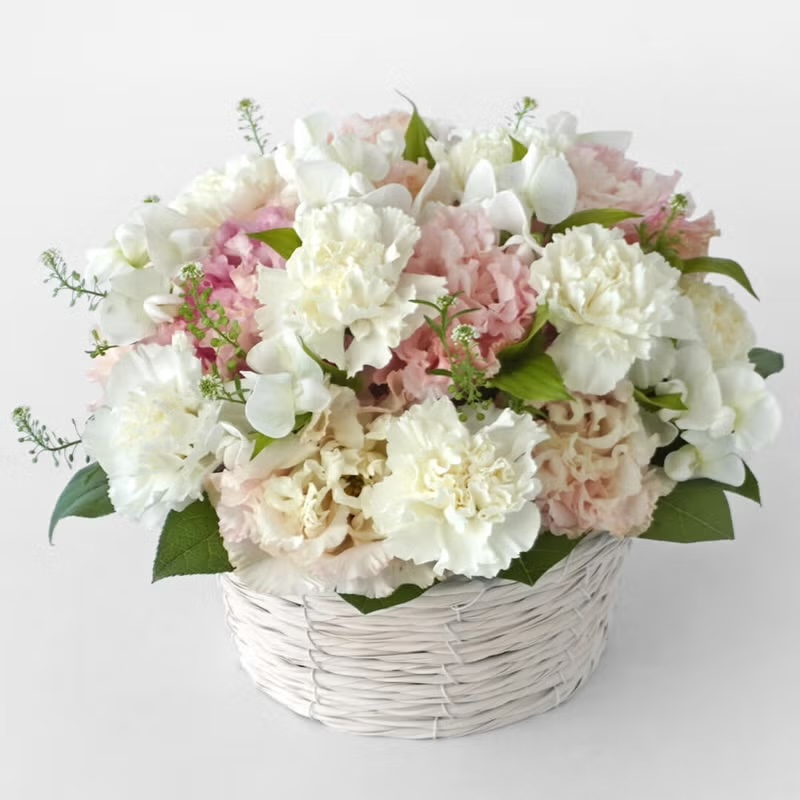 �����J�[�l�[�V�����A�W���s���N�̃g���R�L�L���E�̂������A�����W�����g