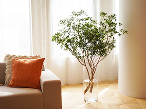 �A�Z�r�̎}���̂̉ԕr����