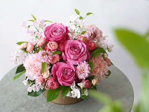 �s���N�̃o���ƃJ�[�l�[�V�����̃A�����W�����g