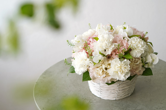 �����J�[�l�[�V�����A�W���s���N�̃g���R�L�L���E�̂������A�����W�����g