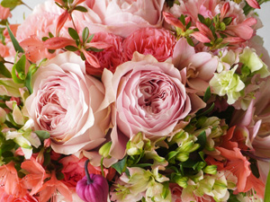 �W���s���N�̃o���̉ԑ�