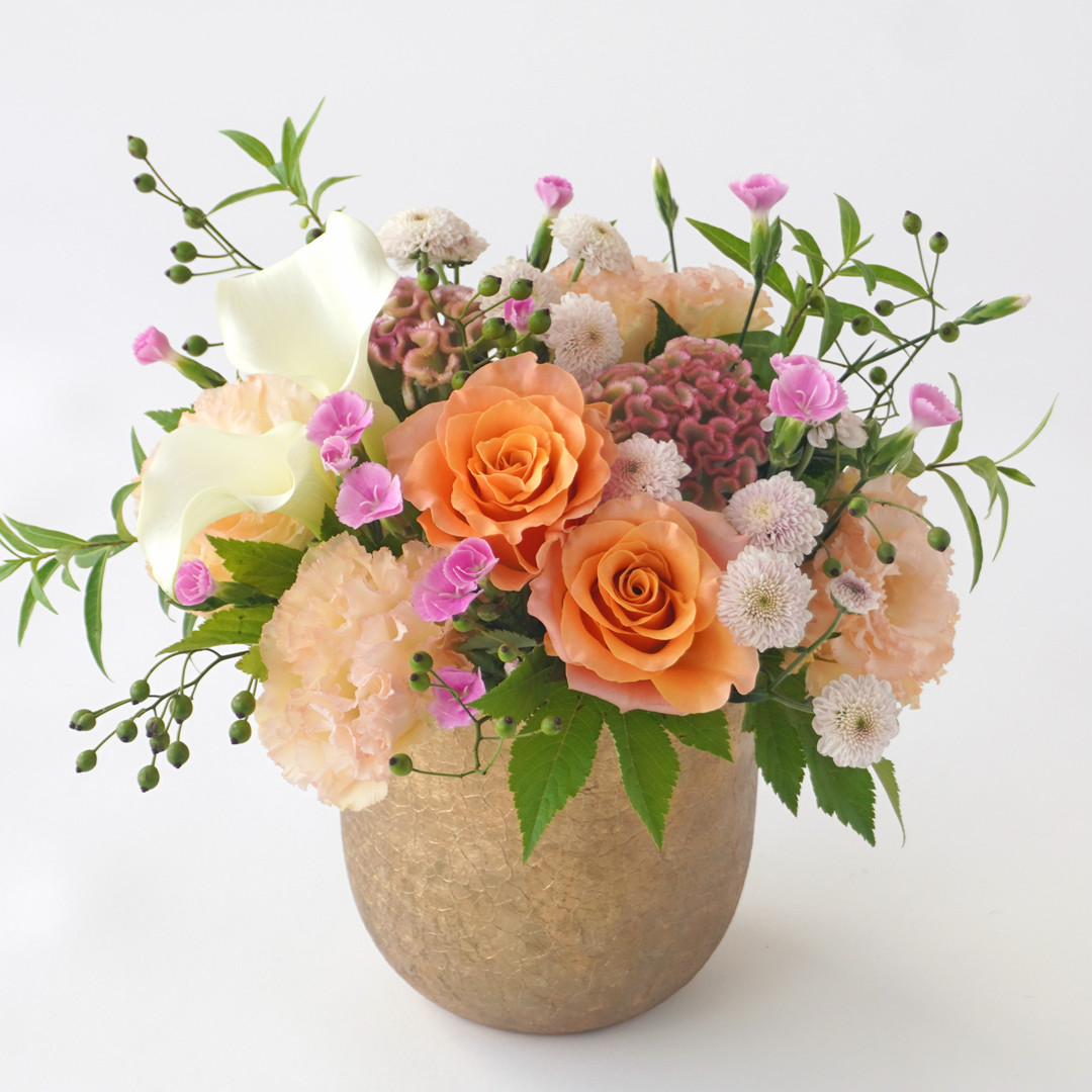 �y�h�V�̓��z�I�����W�̃o���ƃJ���[�̃A�����W�����g