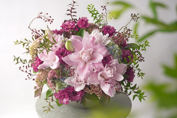 �W���s���N�̔��d�炫�����ƃg���R�L�L���E�̃A�����W�����g