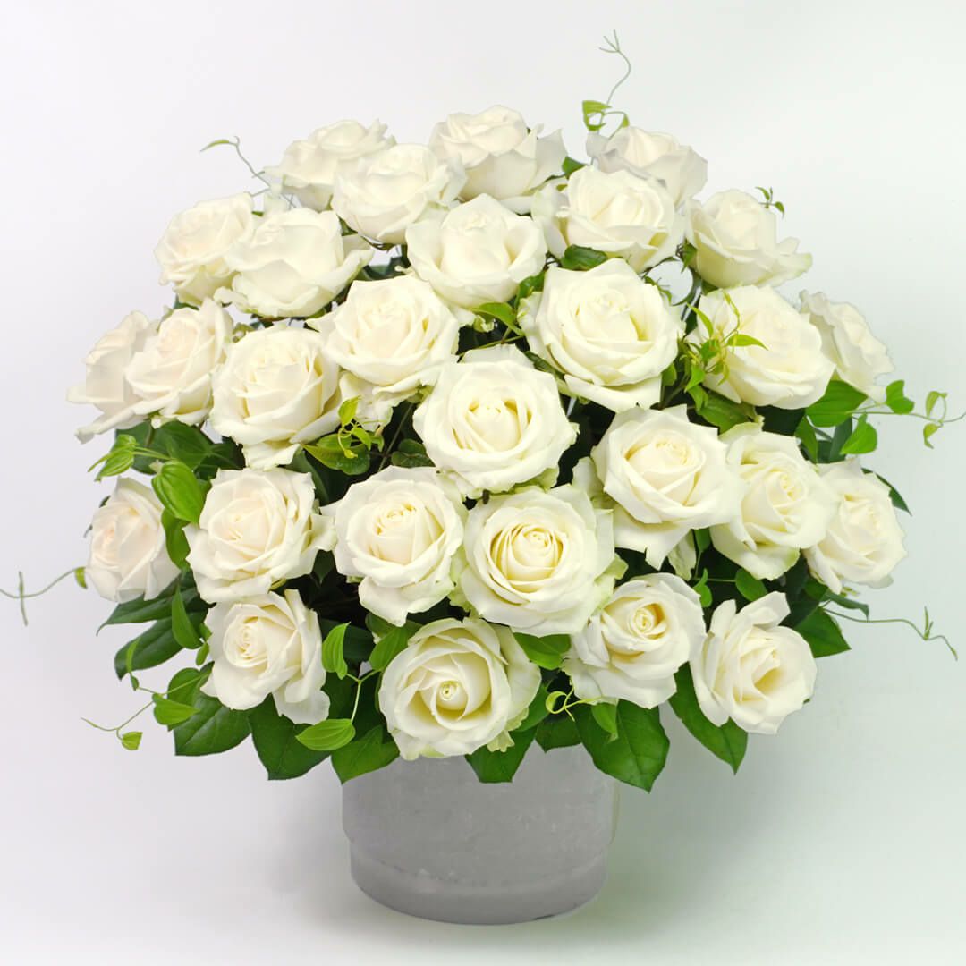 白バラのアレンジメント(ご供花)