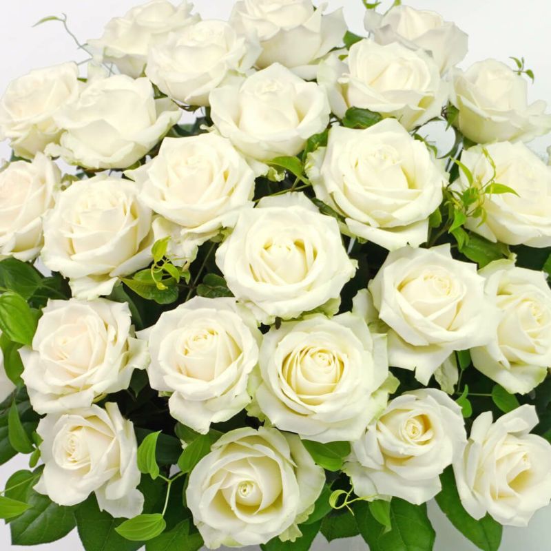 白バラのアレンジメント(ご供花)