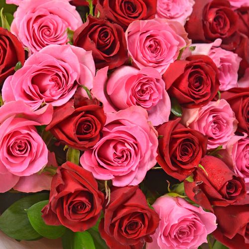 赤とピンクのバラの花束（大輪35本）｜青山花茂本店