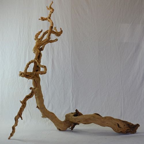 ドライ　グレープウッド