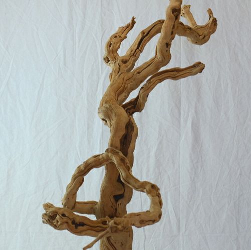 ドライ　グレープウッド