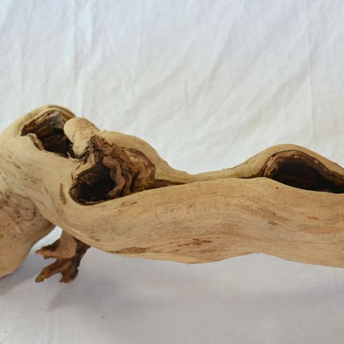 ドライ　グレープウッド