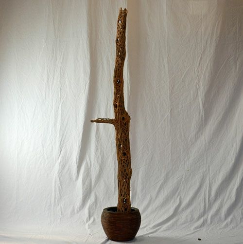 チョラ（乾燥したサボテン　サンドブラスト加工）