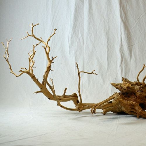 ドライマンザニータ