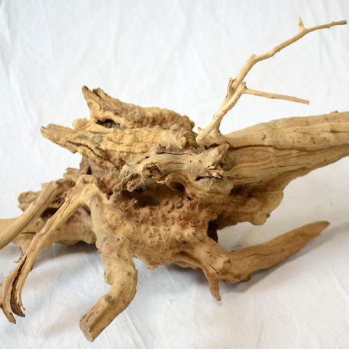 ドライマンザニータ