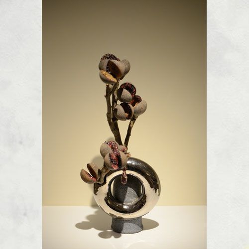 ドライ加工したネイティブピーチの画像