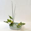 河骨いけばな花材＜太藺・河骨二株＞