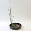 睡蓮いけばな花材＜太藺・睡蓮二株＞