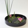 睡蓮いけばな花材＜太藺・睡蓮二株＞
