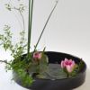 河骨・睡蓮いけばな花材＜雪柳・太藺・睡蓮二株＞