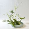 河骨いけばな花材＜河骨・雪柳・葦＞