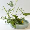 河骨いけばな花材＜河骨・雪柳・葦＞