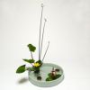 河骨・睡蓮いけばな花材＜河骨一株・太藺・睡蓮一株＞