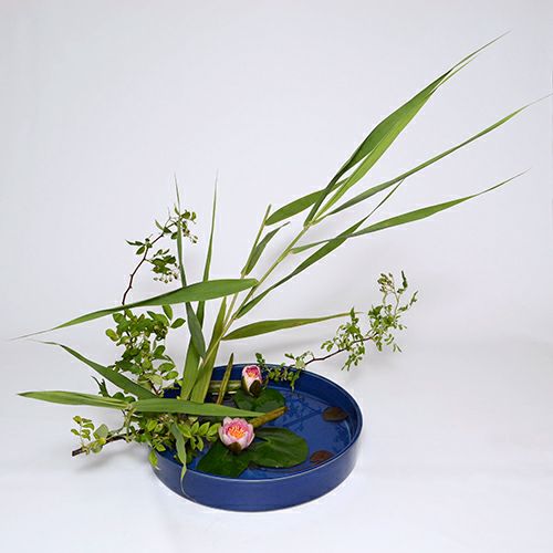 河骨・睡蓮いけばな花材＜睡蓮二株・野バラ・葦＞