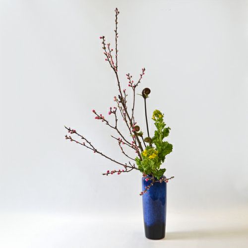 桃いけばな花材 桃・薇・菜の花（花つれづれ桃の号No.2）｜青山花茂本店